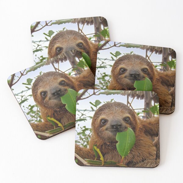 Item preview, Baby Brown throated Three toed sloth designed and sold by Seaphotoart.