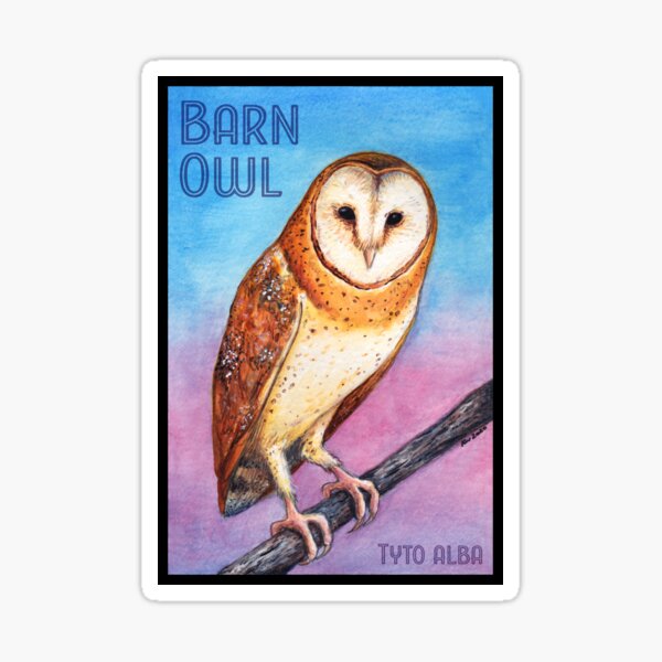 Barn Owl Sticker