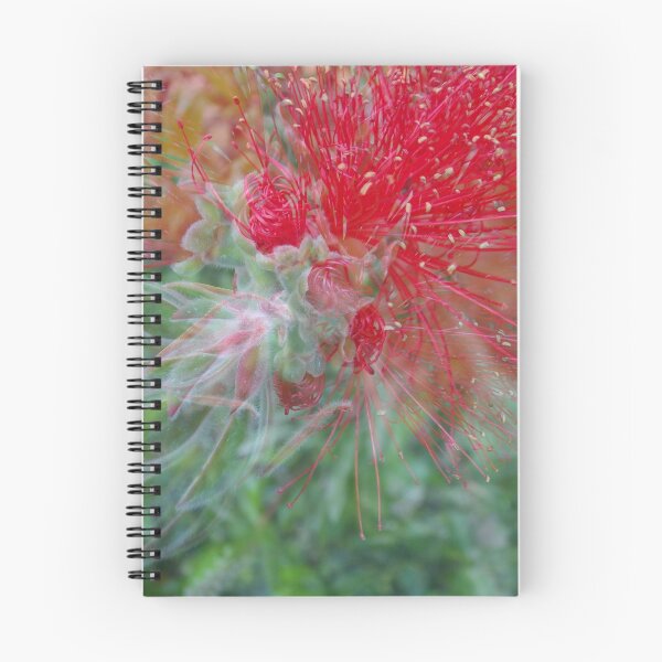 Item preview, Bottlebrush Flower In the Wind designed and sold by Branislava Tir .