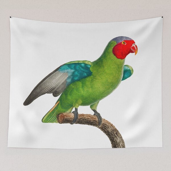 Item preview, Tropical Bird Illustration designed and sold by xostarboyxo.