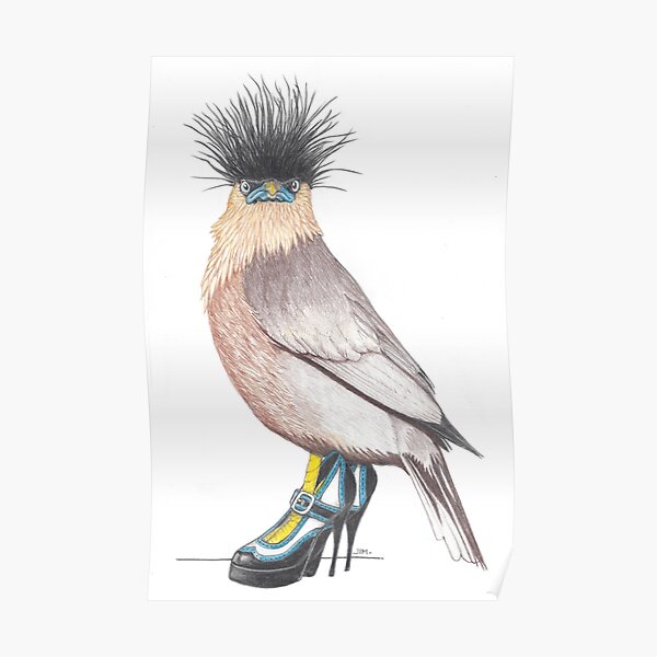 Brahminy Myna in Retro High Heels Poster