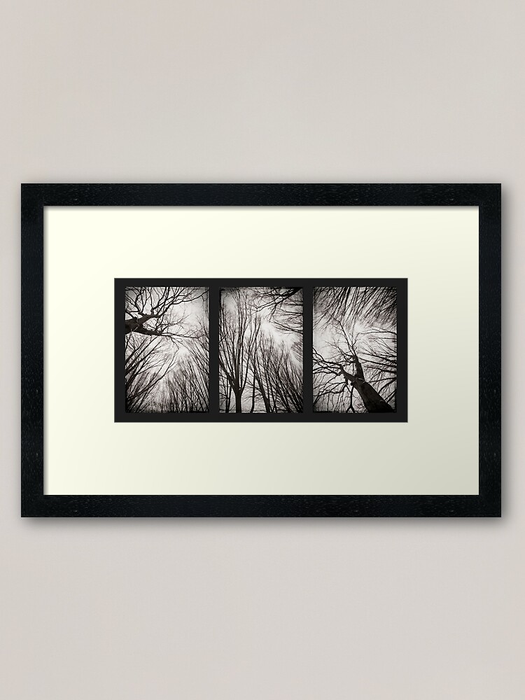 "Baumologie in Schwarz & Weiß" Gerahmter Kunstdruck von Dorit | Redbubble