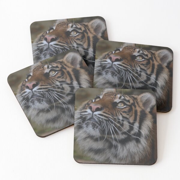 Item preview, tiger looking at the sky designed and sold by JoeEJackson.