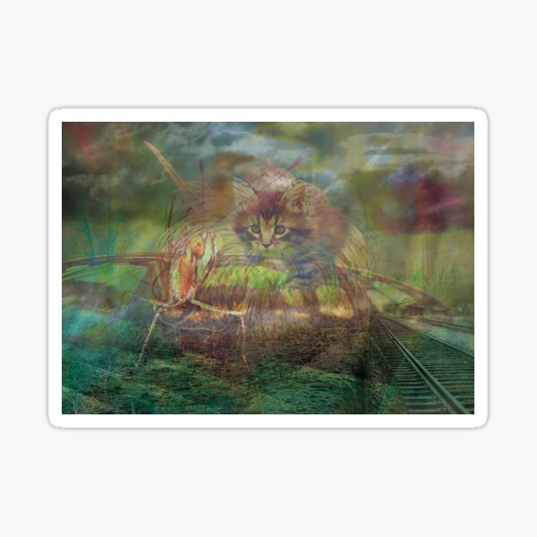 Entdecke die Welt Sticker