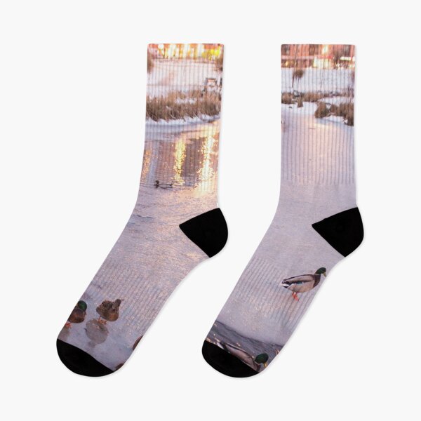 Item preview, landscape of a duck on the ice of a river in a winter city park designed and sold by nataliavavilina.