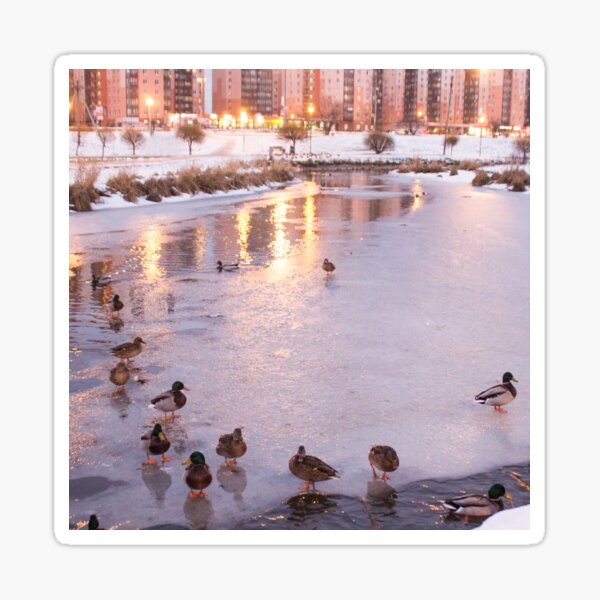 Vista previa del artículo con la obra «paisaje de un pato en el hielo de un río en un parque de la ciudad de invierno», diseñado y vendido por nataliavavilina.