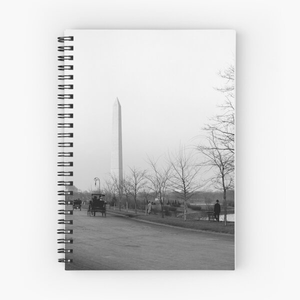 Item preview, The Boulevard - Potomac Park - Washington DC - Circa 1910 designed and sold by warishellstore.