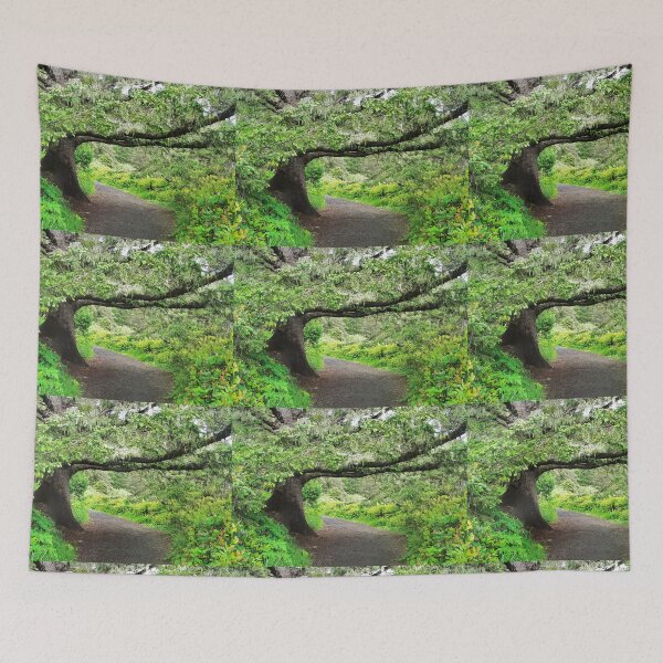 Item preview, THE WALKING STICK....Heceta Lighthouse Path. Oregon Coast designed and sold by Diane Arndt.