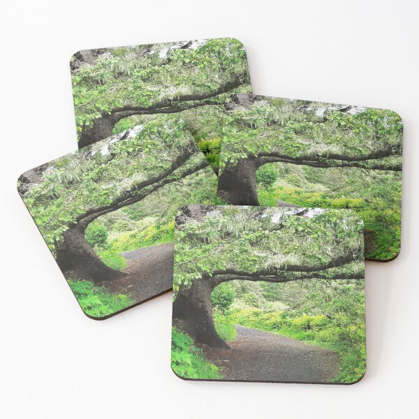 Item preview, THE WALKING STICK....Heceta Lighthouse Path. Oregon Coast designed and sold by Diane Arndt.
