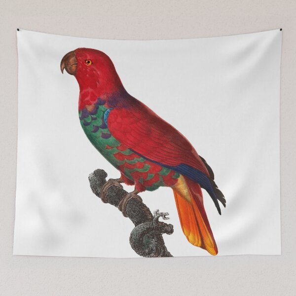 Item preview, Tropical Bird Illustration designed and sold by xostarboyxo.