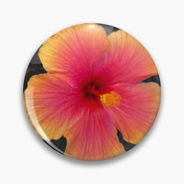 Item preview, Beautiful Hibiscus designed and sold by Chriskasper.