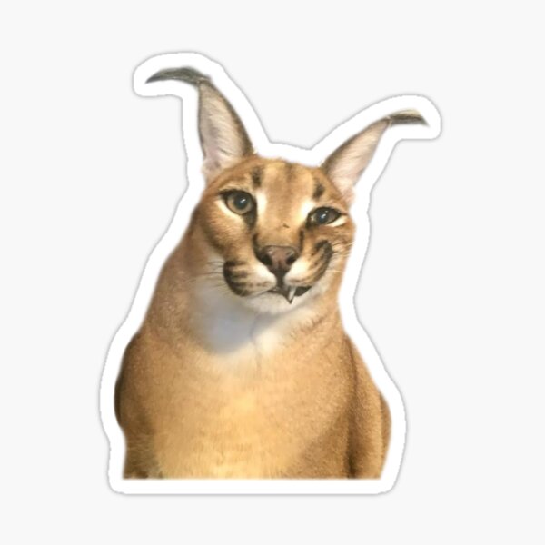 Big Floppa Caracal Cat Meme' Sticker