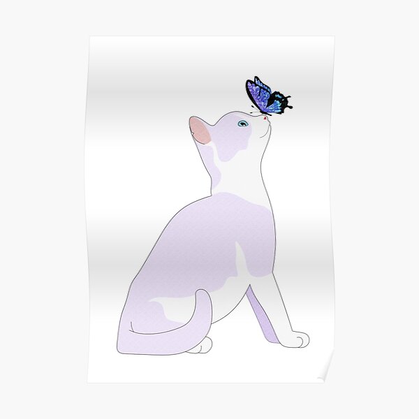 Poster Katze Und Schmetterling Redbubble