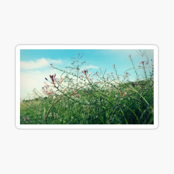 Field Wild Flowers Sticker