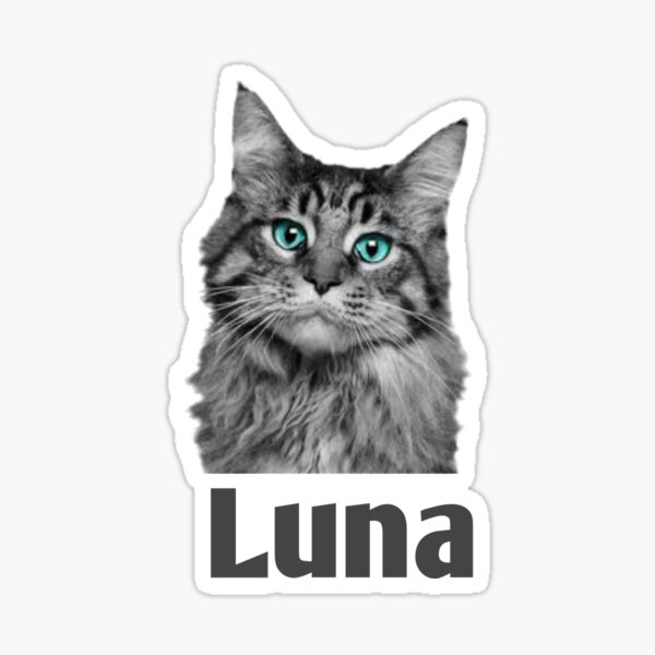 luna-cat-name-sticker-for-sale-by-soumiaboutique-redbubble