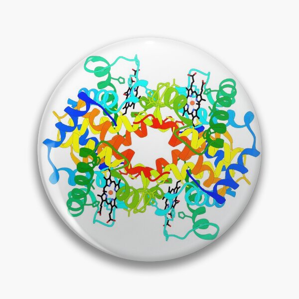Item preview, Haemoglobin designed and sold by 3D Biology.