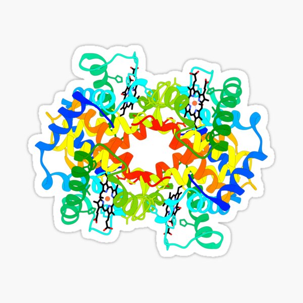 Item preview, Haemoglobin designed and sold by 3D Biology.