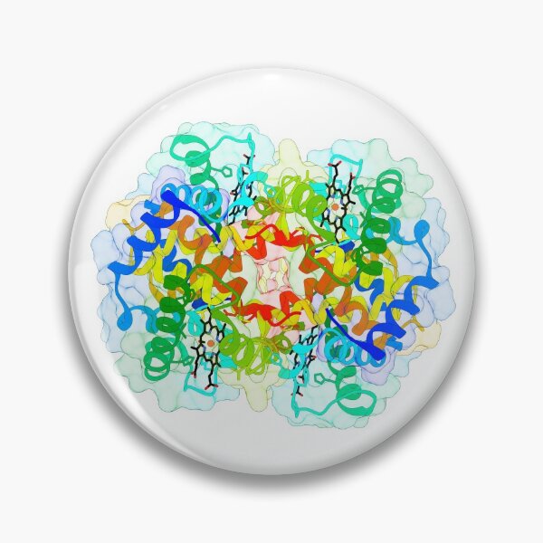 Item preview, Haemoglobin designed and sold by 3D Biology.