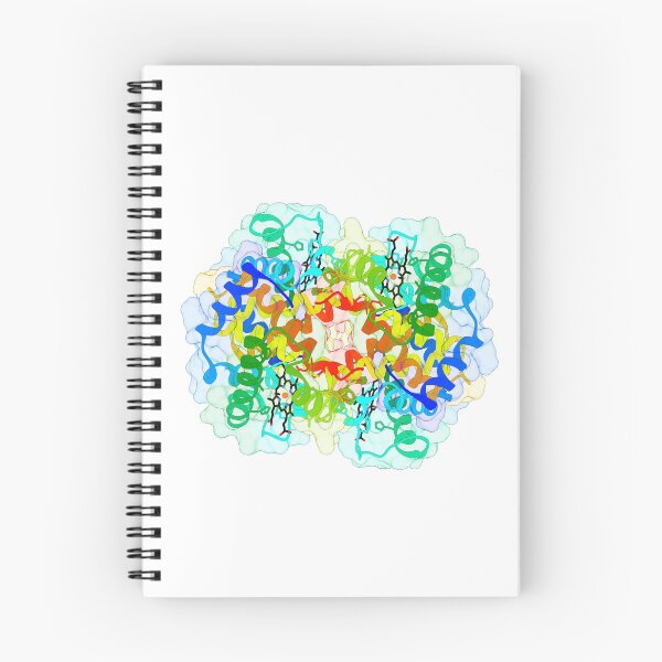 Item preview, Haemoglobin designed and sold by 3D Biology.