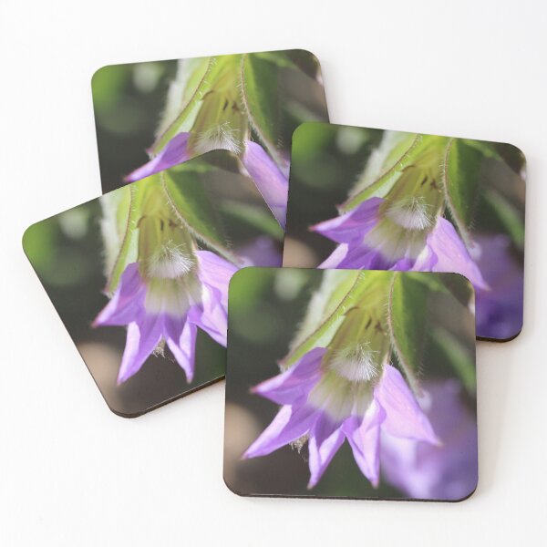 Item preview, Scaevola platyphylla Bud designed and sold by Michaela Perryman.