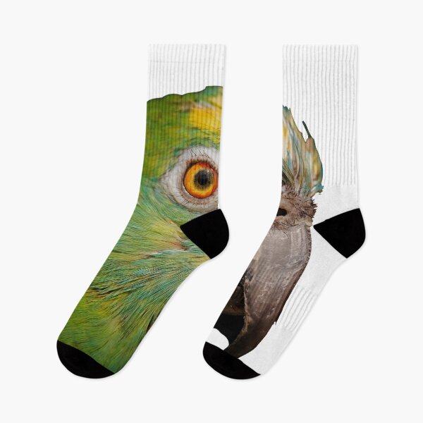Item preview, Pele the Parrot photo designed and sold by Nostrathomas66.
