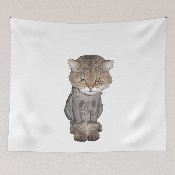 Item preview, Sherrie the shaved cat photo designed and sold by Nostrathomas66.