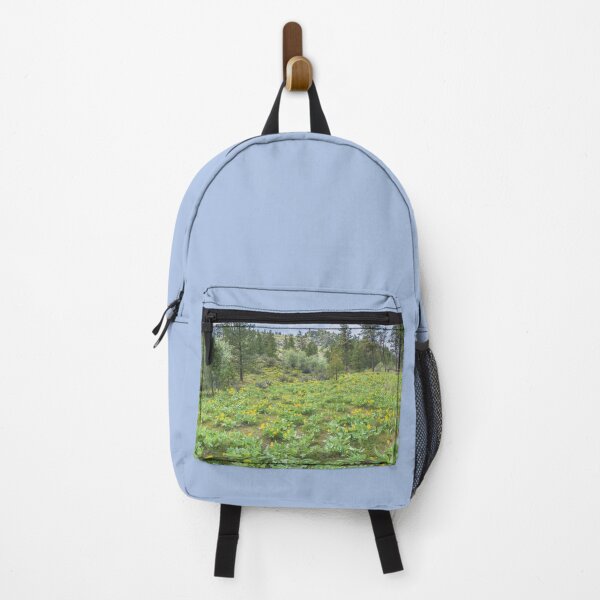 Item preview, Arrowleaf Balsamroot Springtime Wildflowers in Okanagan Valley designed and sold by Amy Mitchell.