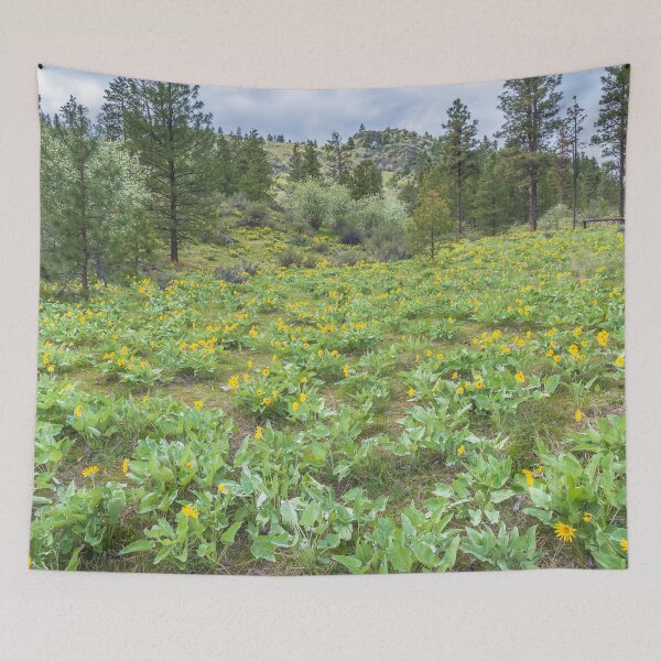 Item preview, Arrowleaf Balsamroot Springtime Wildflowers in Okanagan Valley designed and sold by Amy Mitchell.