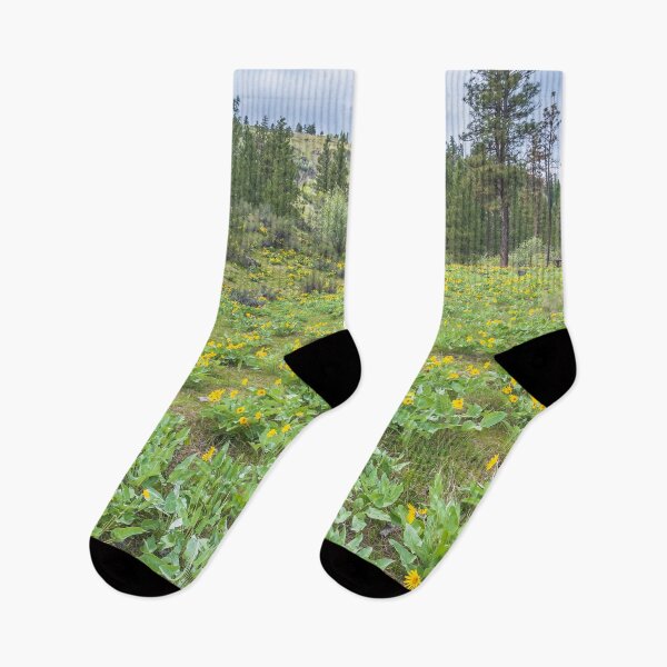 Item preview, Arrowleaf Balsamroot Springtime Wildflowers in Okanagan Valley designed and sold by Amy Mitchell.