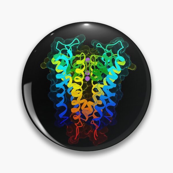 Item preview, Potassium Channel designed and sold by 3D Biology.