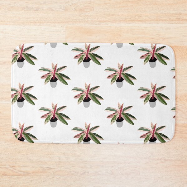 Item preview, Pink Variegated Calathea (triostar stromanthe) designed and sold by Andie Janik.