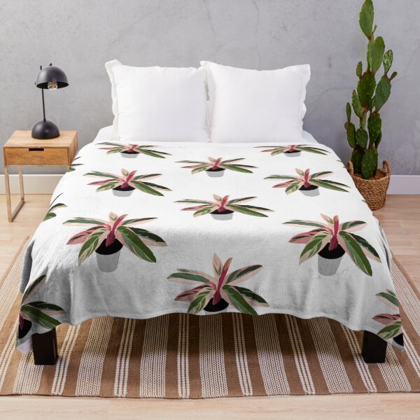 Item preview, Pink Variegated Calathea (triostar stromanthe) designed and sold by Andie Janik.