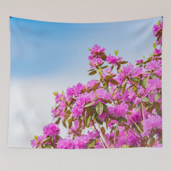 Item preview, Vibrant Pink Rhododendron Blossoms and Blue Sky designed and sold by Amy Mitchell.