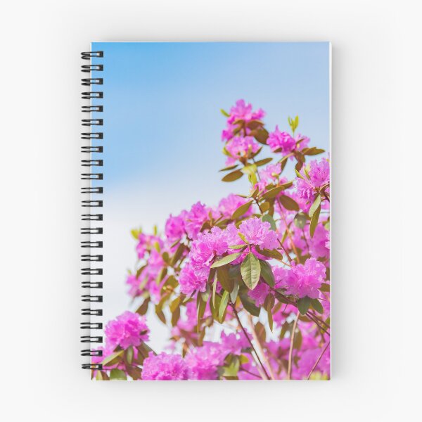 Item preview, Vibrant Pink Rhododendron Blossoms and Blue Sky designed and sold by Amy Mitchell.