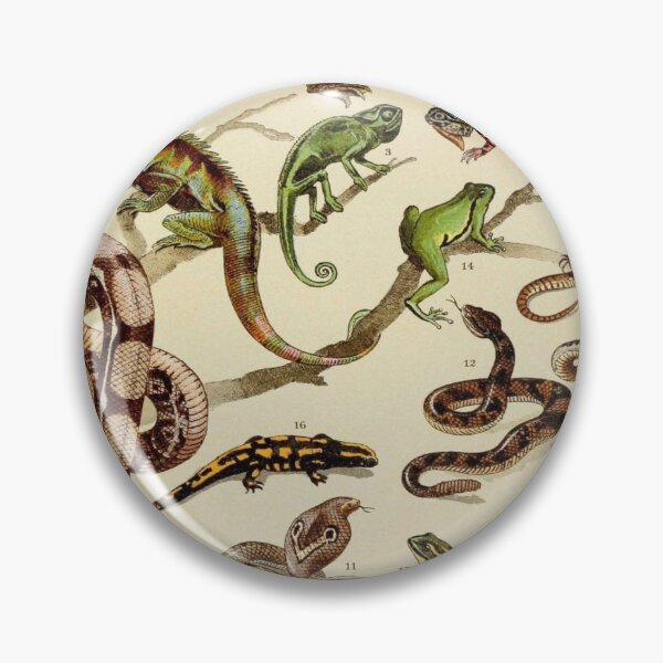 Item preview, Reptiles Vintage Scientific Illustration of Animals Labeled Lithograph designed and sold by Ejaaz.