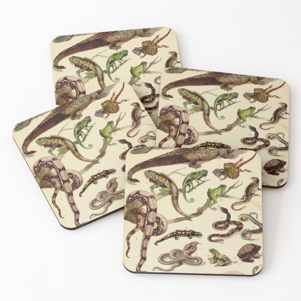 Item preview, Reptiles Vintage Scientific Illustration of Animals Labeled Lithograph designed and sold by Ejaaz.