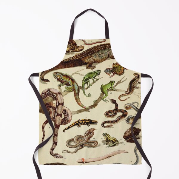 Item preview, Reptiles Vintage Scientific Illustration of Animals Labeled Lithograph designed and sold by Ejaaz.