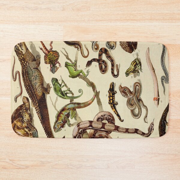 Item preview, Reptiles Vintage Scientific Illustration of Animals Labeled Lithograph designed and sold by Ejaaz.