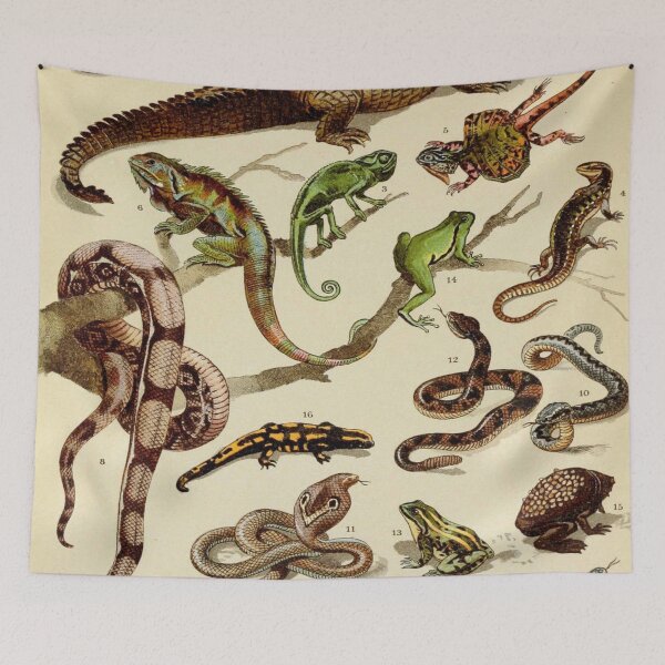 Item preview, Reptiles Vintage Scientific Illustration of Animals Labeled Lithograph designed and sold by Ejaaz.