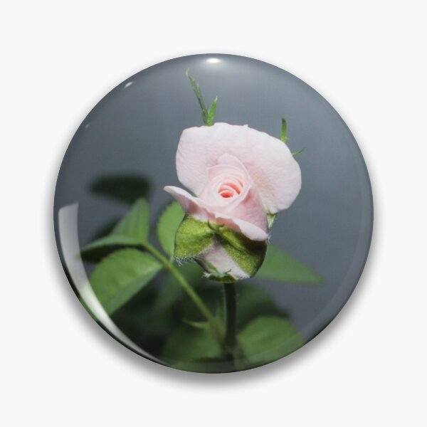Item preview, a bud of a light pink rose with leaves on a gray background designed and sold by nataliavavilina.