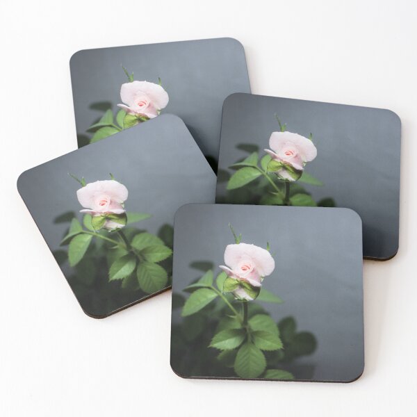 Item preview, a bud of a light pink rose with leaves on a gray background designed and sold by nataliavavilina.