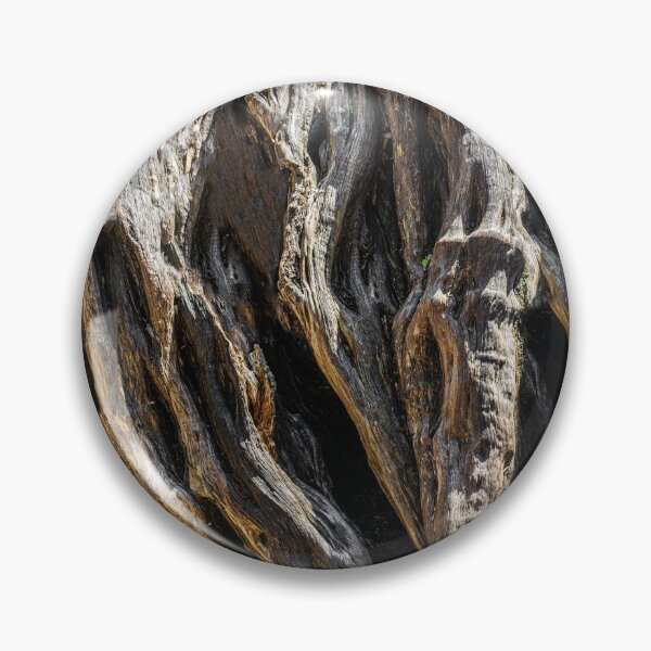 Item preview, Tree Trunk designed and sold by philipian-photo.