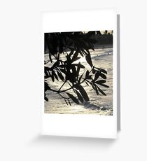 Laguna Bay Sundown Greeting Card