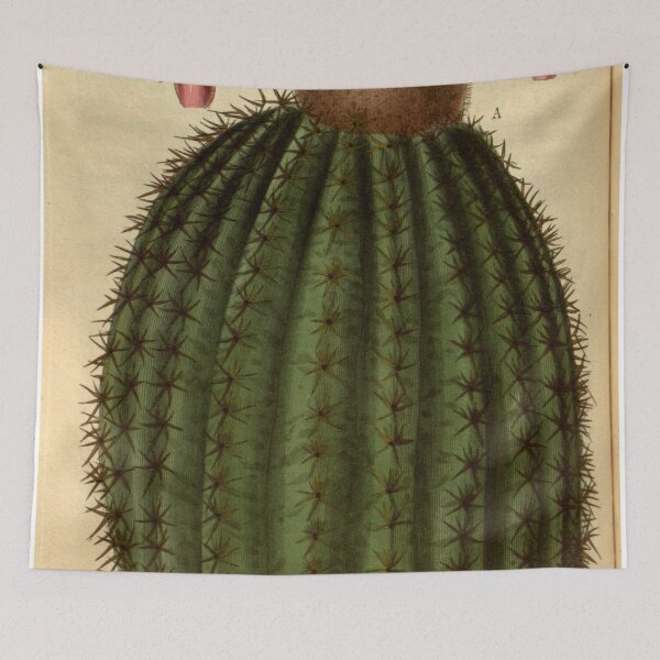 Item preview, Curtis's botanical magazine (Plate 3090) (8411500588) designed and sold by EsotericBotanic.