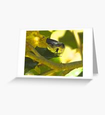 Snake tongue Greeting Card