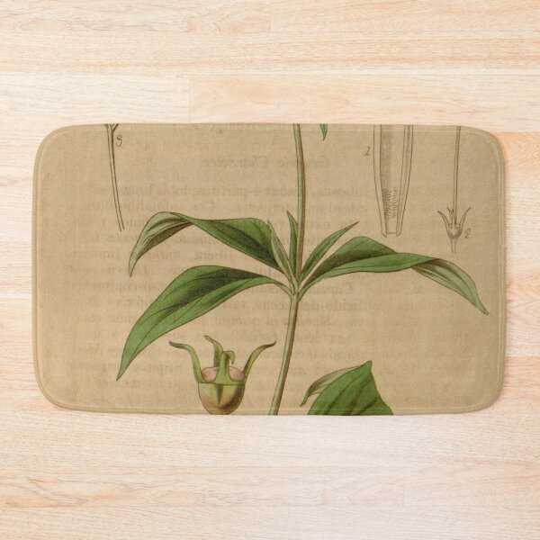 Item preview, Bouvardia ternifolia Bot. Mag. 66. 3781. 1840 designed and sold by EsotericBotanic.