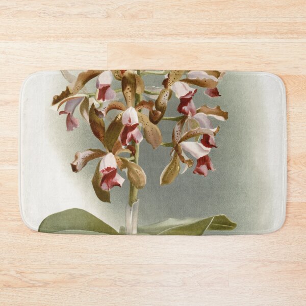 Item preview, Reichenbachia: Orchids Illustrated and Described designed and sold by EsotericBotanic.