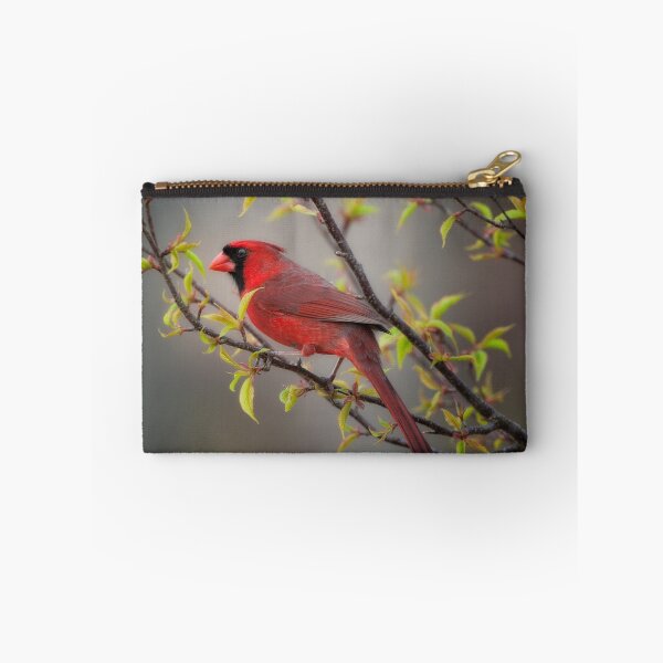 Item preview, Cardinal in Spring designed and sold by Bonnie T.  Barry.