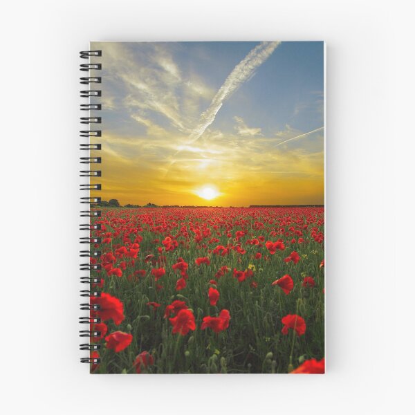 Artikelvorschau, Mohnblüten bei Sonnenuntergang entworfen und verkauft von Wowcreats.