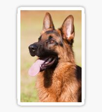 German Shephard Sticker